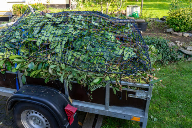 Trusted Newport, SC Junk Removal Services Experts